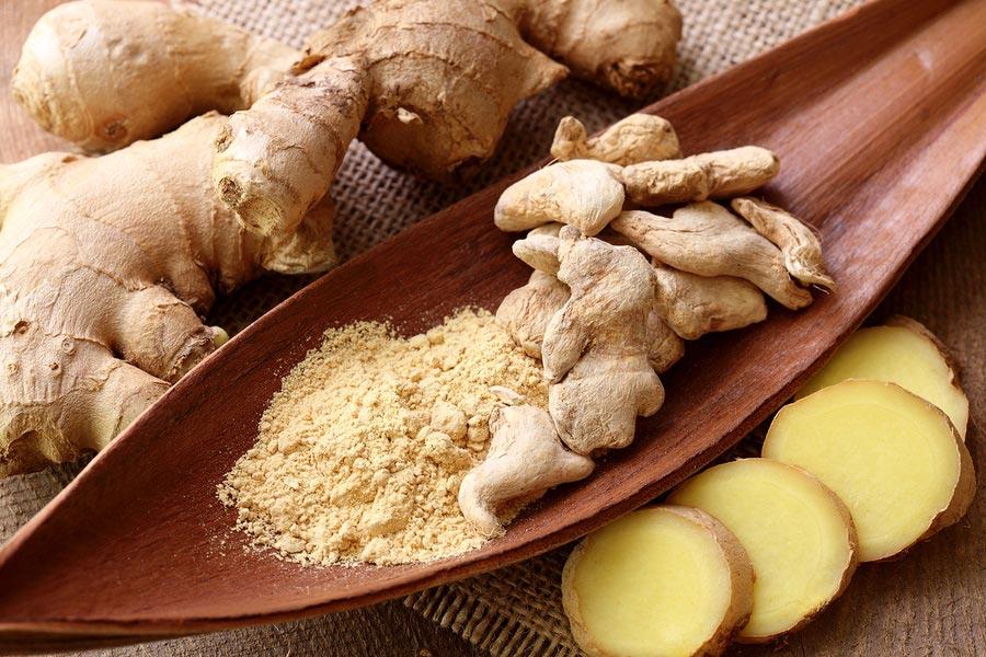 مسکنی به نام زنجبیل