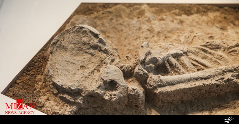 رونمایی از اسکلت بانوی هفت هزار ساله تهران+عکس