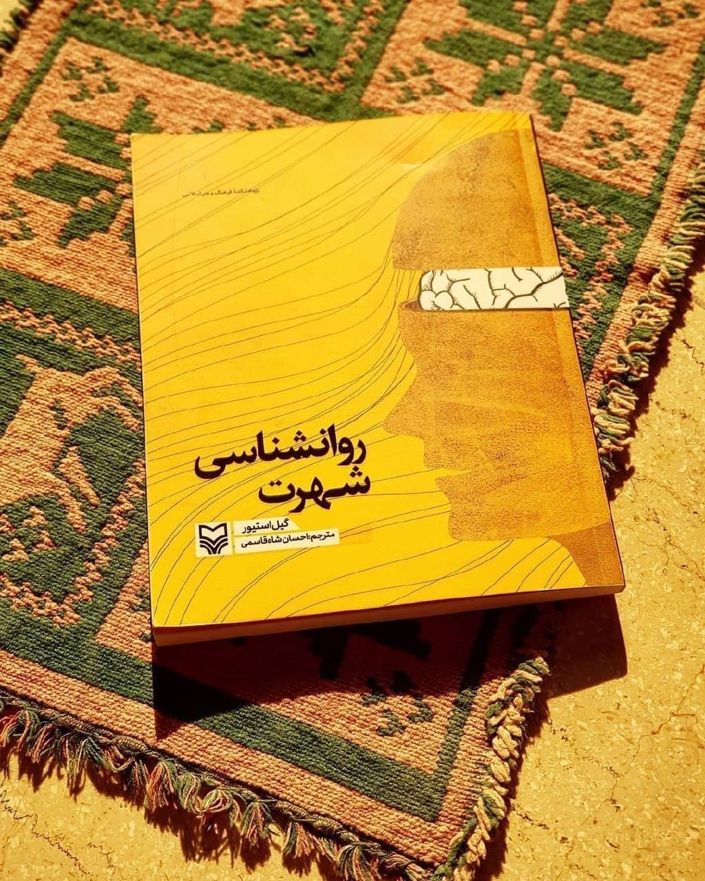 «روان‌شناسی شهرت»؛ پاسخ به سوال چرا ما این همه از سلبریتی‌ها خوشمان می‌آید