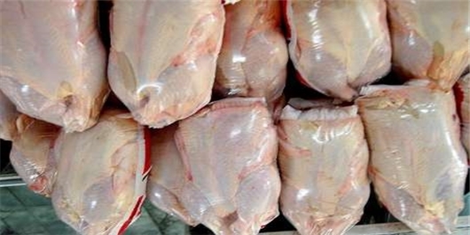 صادرات مرغ ایران به 