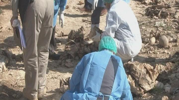 کشف یک گور جمعی در شهر سنجار