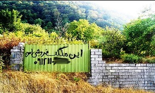 هیس! کابوس تبر