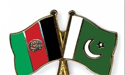 مسئولان اطلاعاتی 