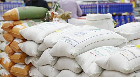 عرضه ۲۰۰ هزار تن برنج مخصوص شب عید از شنبه (۱۶ بهمن)
