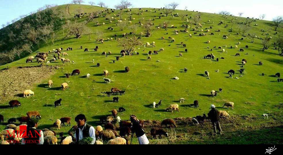 طبیعت زیبای طبیعت زیبای