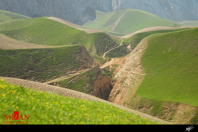طبیعت زیبای طبیعت زیبای
