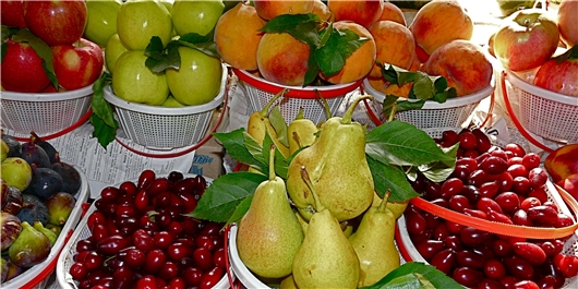 68 میلیون دلار میوه 
