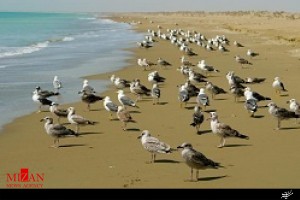 برای تعطیلات نوروز به 