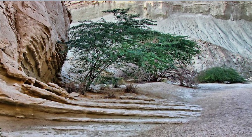 به تماشای تنگه چاهکوه در جزیره ای رویایی بروید