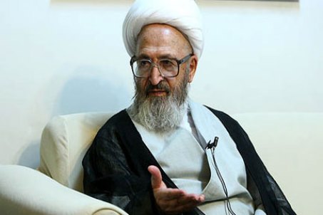 آيت‌الله سبحانی: طرح تحول سلامت از افتخارات دولت است