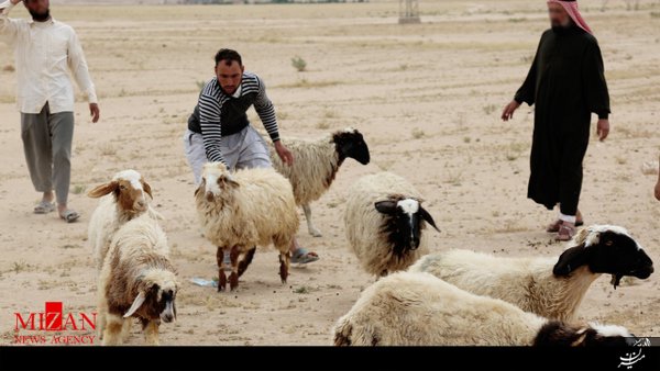 داعش باز هم مدعی اعمال خیرخواهانه شد + عکس داعش باز هم مدعی اعمال خیرخواهانه شد + عکس