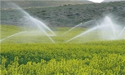 اهدای ۵۵۰ هکتار زمین کشاورزی به مردم یک روستای کردستان
