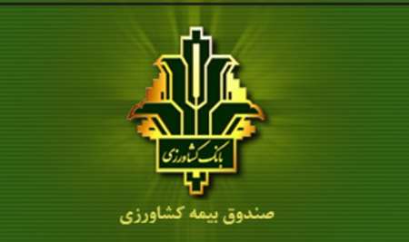 مصوبه دولت درباره پرداخت بدهی صندوق بیمه محصولات کشاورزی به بانک کشاورزی ابلاغ شد