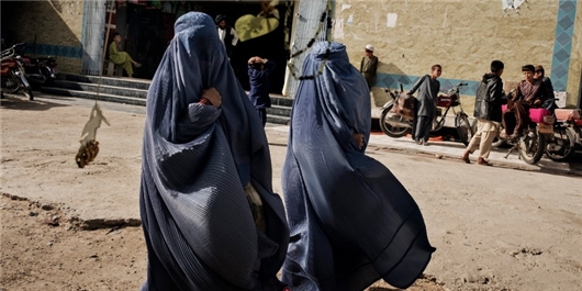 سهم فراموش شده‌ی 