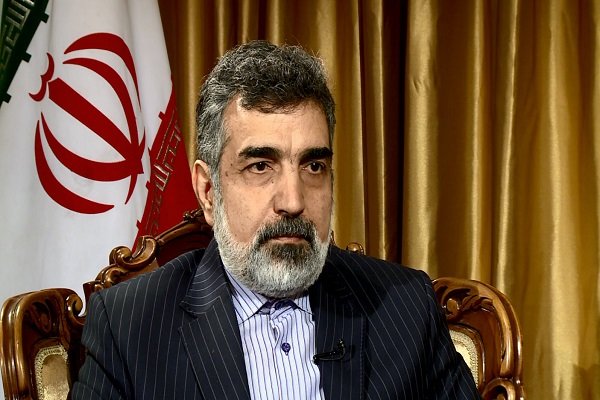 ساخت نیروگاه های هسته ای کوچک و بزرگ در دستور کار است