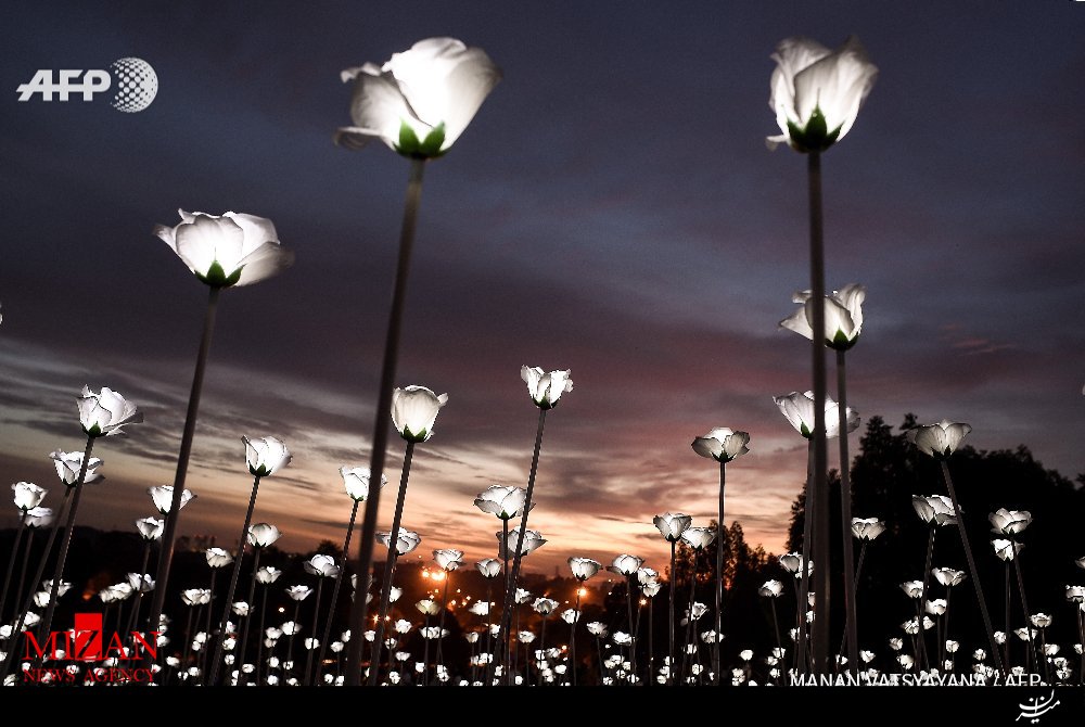 دور دنیا در 10تصویر