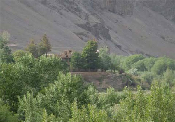 زیبایی چشم‌نواز طبیعت در 
