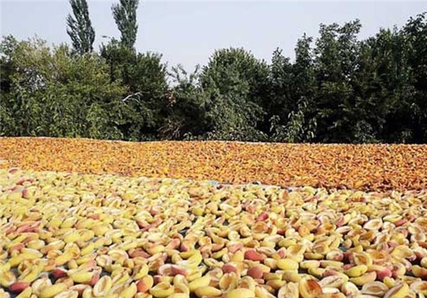 زیبایی چشم‌نواز طبیعت در 