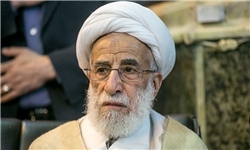 آیت‌الله جنتی با عمار حکیم دیدار کرد