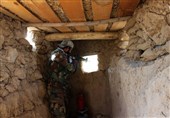 کشته شدن روزانه 18 نظامی در 