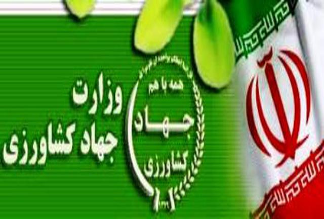 اجازه انتشار اوراق اسناد خزانه به وزارت جهادکشاورزی بابت پرداخت بدهی ها ابلاغ شد اجازه انتشار اوراق اسناد خزانه به وزارت جهادکشاورزی بابت پرداخت بدهی ها ابلاغ شد