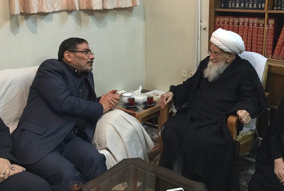 دیدار دبیر شورایعالی امنیت ملی با آیت الله صافی گلپایگانی دیدار دبیر شورایعالی امنیت ملی با آیت الله صافی گلپایگانی