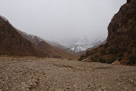 جوپار جوپار