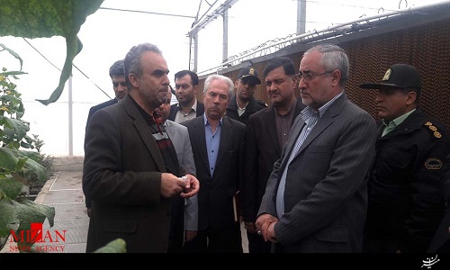 دستگاههای اجرایی زندانیان را در بازگشت به جامعه حمایت کنند/ تاکید دستگاه قضایی بر کاهش جمعیت کیفری بانوان و نوجوانان دستگاههای اجرایی زندانیان را در بازگشت به جامعه حمایت کنند/ تاکید دستگاه قضایی بر کاهش جمعیت کیفری بانوان و نوجوانان