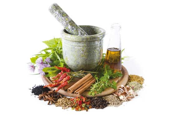 بهره‌وری از گیاهان دارویی نیازمند دانش  تخصصی