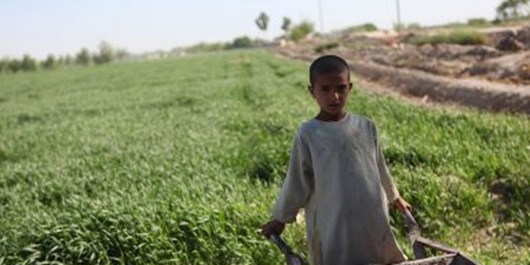 دیپلمات: سرمایه‌گذاری خارجی کشاورزی 
