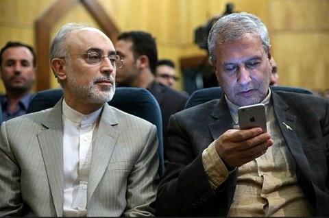 ربیعی ربیعی