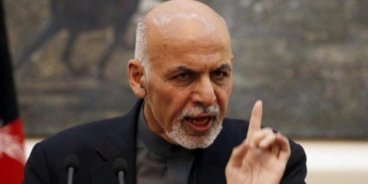 تربیون: 
