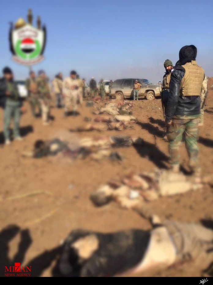 حشدالشعبی