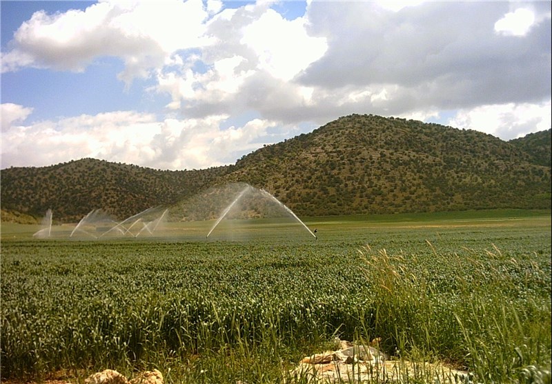 دشت مغان