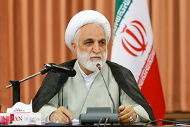 حجت الاسلام والمسلمین محسنس اژه ای در جلسه هم اندیشی وکلای دادگستری با رئیس قوه قضاییه