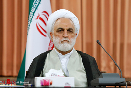 حجت الاسلام والمسلمین محسنی اژه ای در جلسه هم اندیشی وکلای دادگستری با رئیس قوه قضاییه