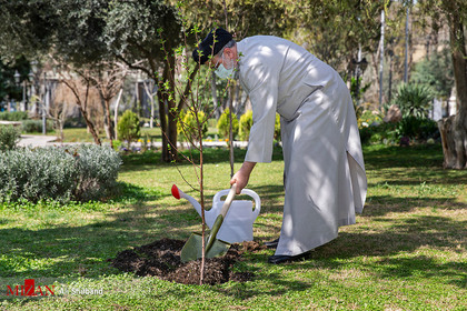 کاشت یک نهال میوه توسط آیت‌الله سید ابراهیم رئیسی به مناسبت روز درختکاری و هفته منابع طبیعی