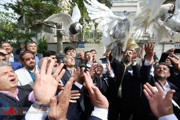 سعید یاری