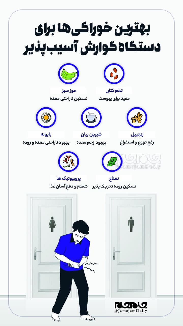 بهترین خوراکیها برای دستگاه گوارش آسیبپذیر بهترین خوراکیها برای دستگاه گوارش آسیبپذیر