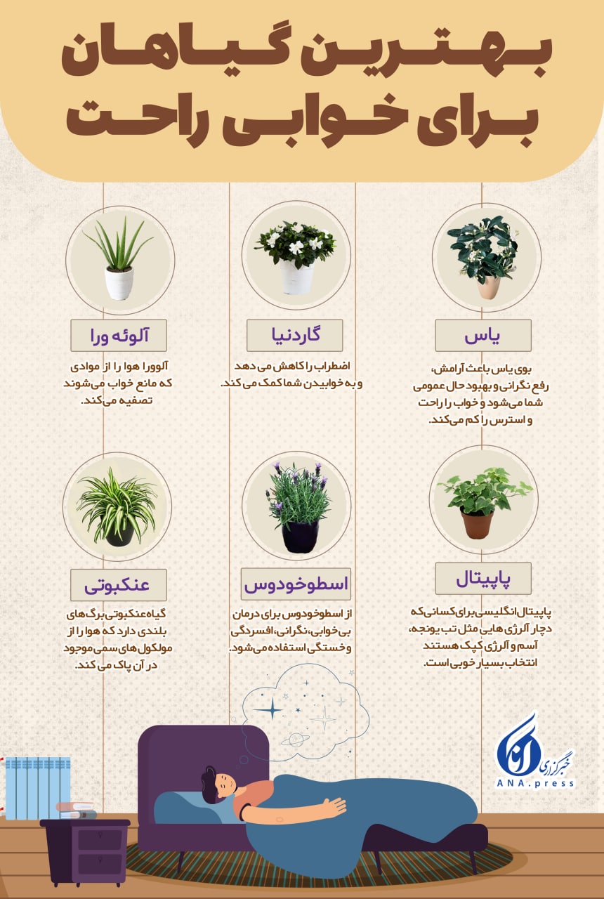 کدام گیاهان آپارتمانی برای اتاق خواب مناسب اند؟