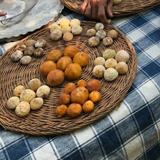 روایتی از خوشمزه‌ترین شیرینی‌های سنتی ایران؛ از «جوزغند» نراقی تا کیک یزدی