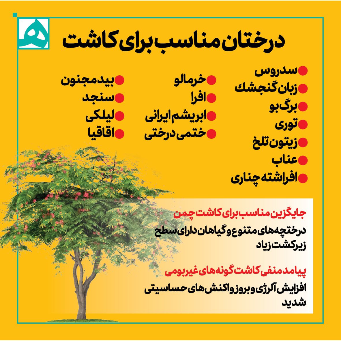 شرایط کاشت و نگهداری فضای سبز در پایتخت شرایط کاشت و نگهداری فضای سبز در پایتخت