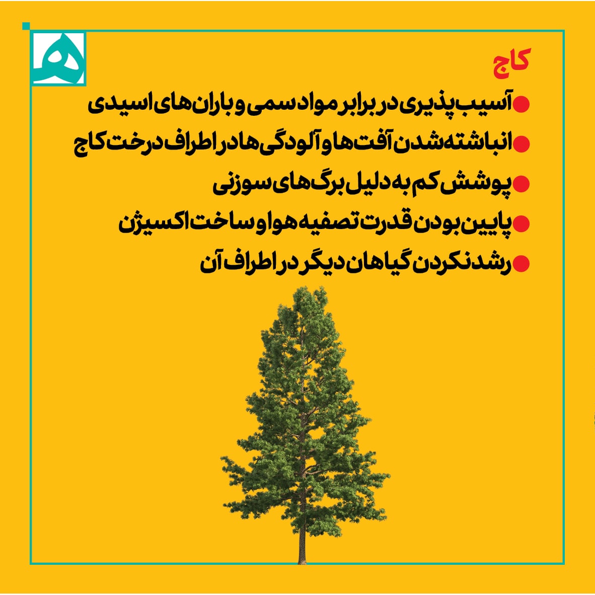 شرایط کاشت و نگهداری فضای سبز در پایتخت شرایط کاشت و نگهداری فضای سبز در پایتخت