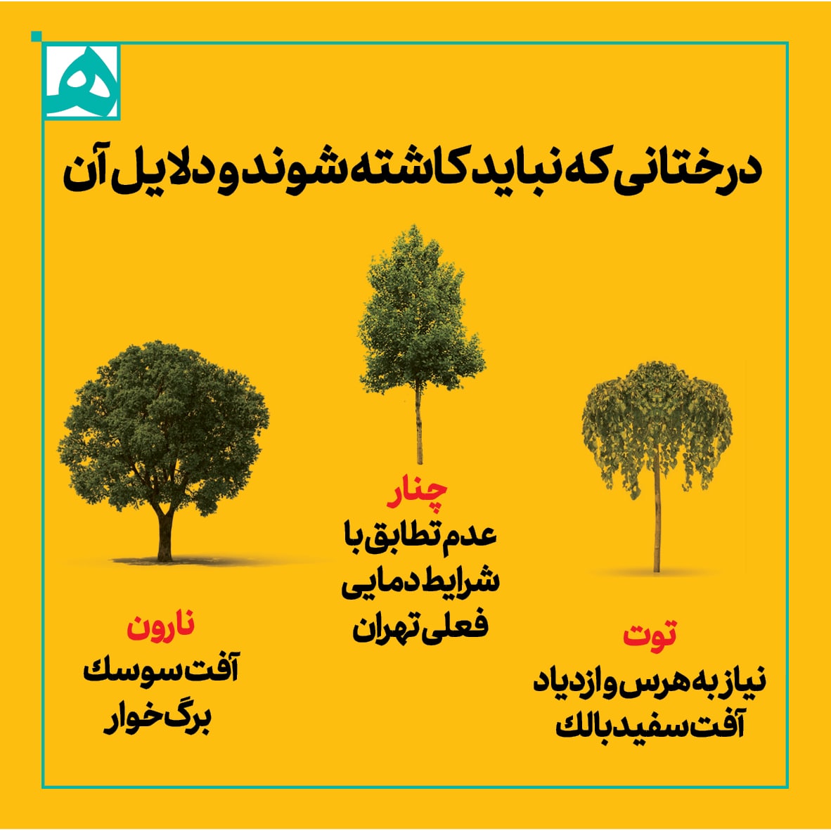 شرایط کاشت و نگهداری فضای سبز در پایتخت شرایط کاشت و نگهداری فضای سبز در پایتخت