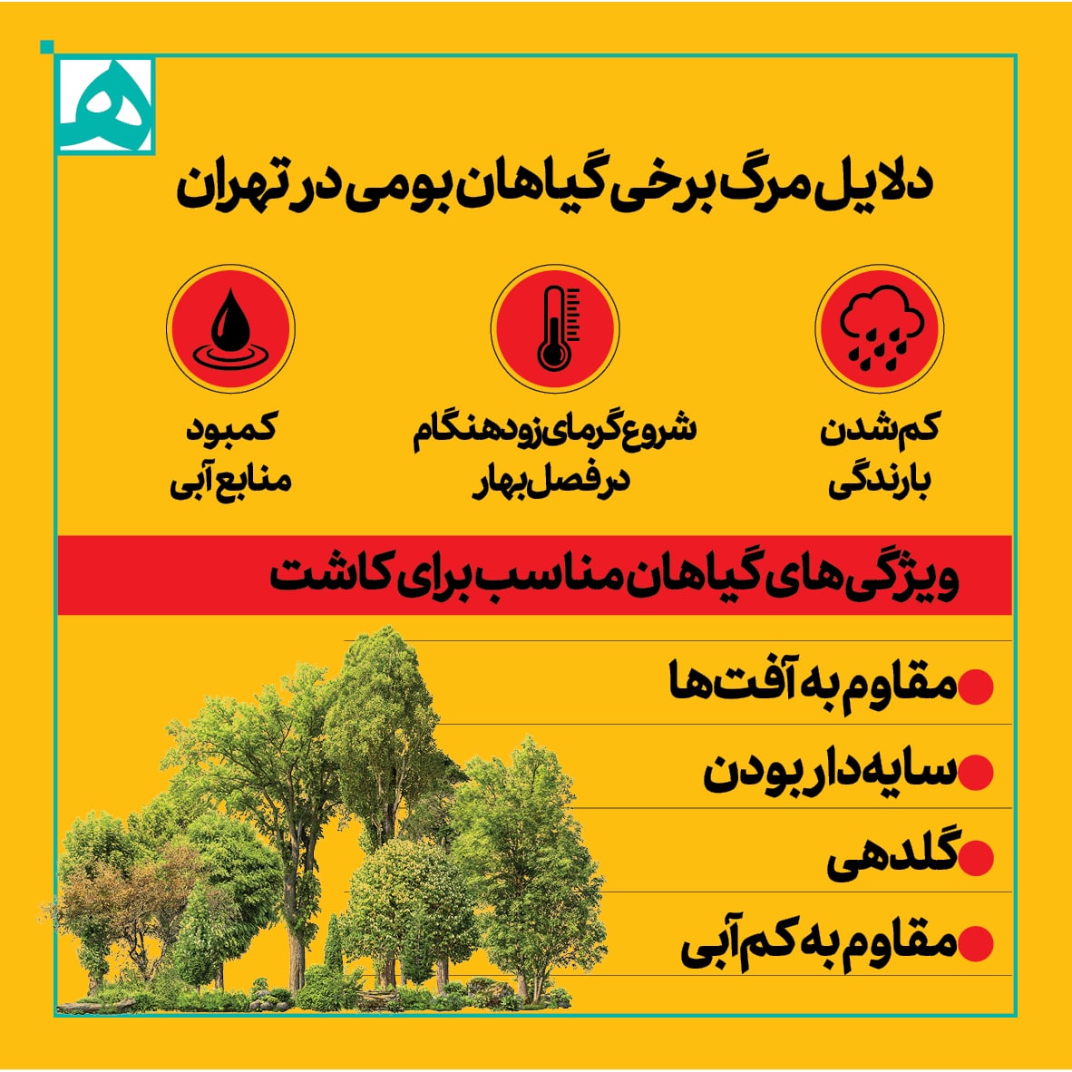 شرایط کاشت و نگهداری فضای سبز در پایتخت شرایط کاشت و نگهداری فضای سبز در پایتخت