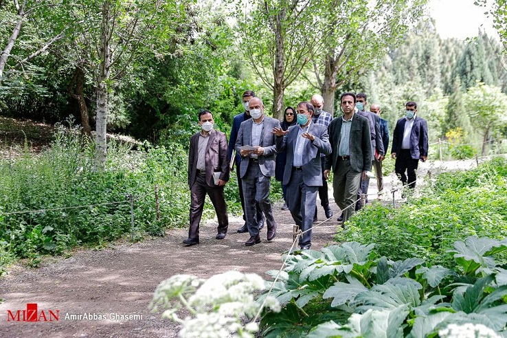 معاون دادستان کل کشور از باغ ملی گیاه شناسی ایران بازدید کرد/ ترکی: از نظر دادستانی ساخت و ساز بلوک‌های مسکونی در مجاورت باغ گیاه شناسی ملی ممنوع است